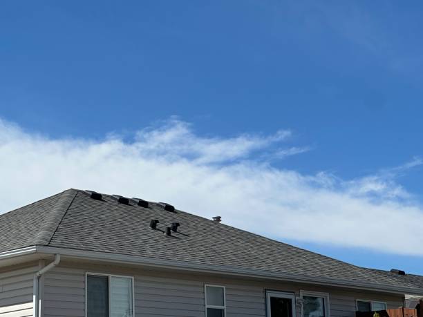 Best Asphalt Shingle Roofing  in Margate City, NJ